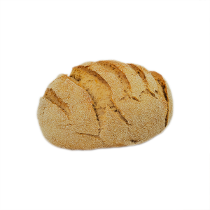 oberlander bruin